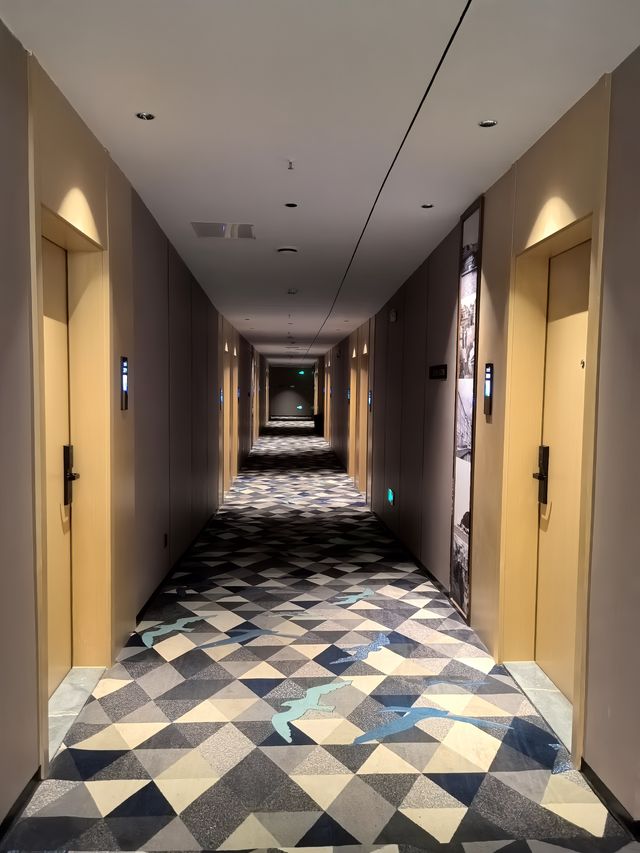 柳州特種兵一日遊，發掘寶藏酒店
