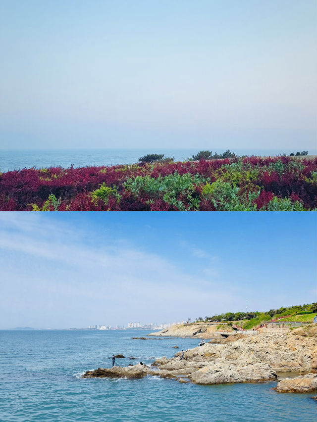 青島私藏秘境！靈山島2天1夜避世攻略：懸崖燈塔×橘子海日落"