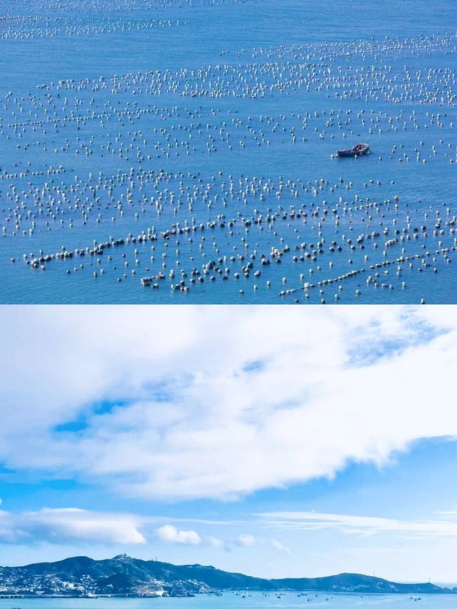 剛逛完枸杞島！親子避暑體驗超正～