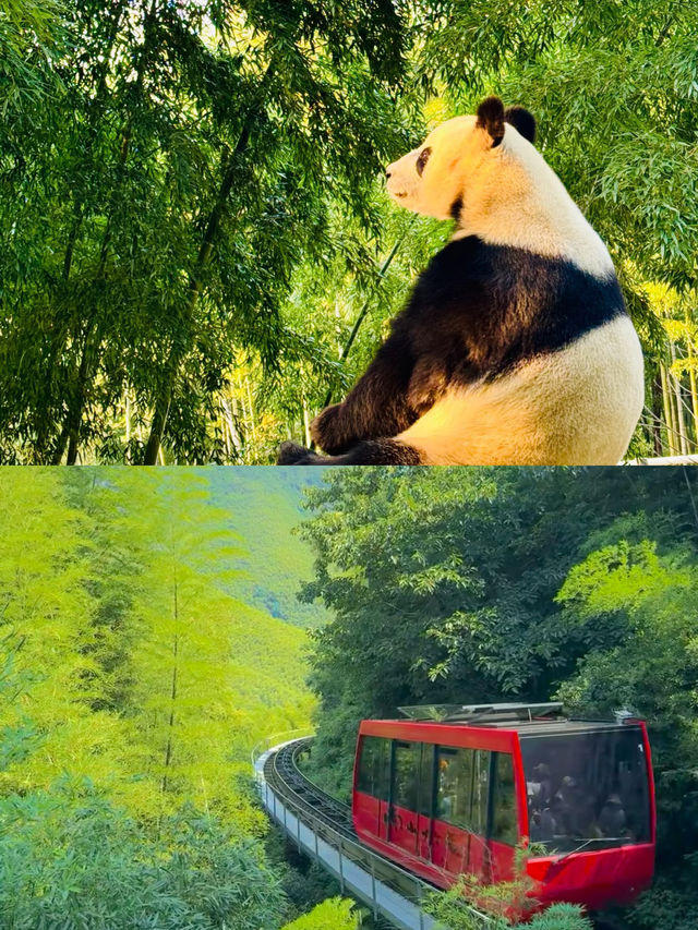 夏日避暑地：江蘇溧陽，值得帶家人每年去！