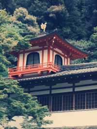**【穿越千年古都！大阪瀧安寺靜心體驗全記錄】**  