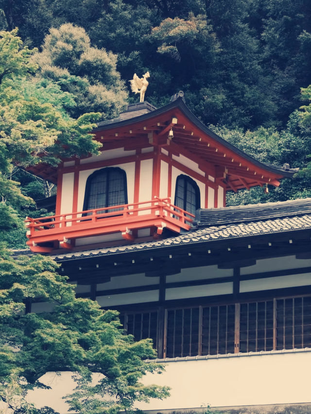 **【穿越千年古都！大阪瀧安寺靜心體驗全記錄】**  