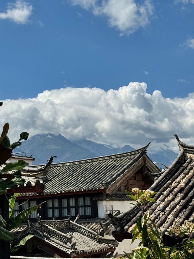 沉浸式體驗麗江山水花草美墅