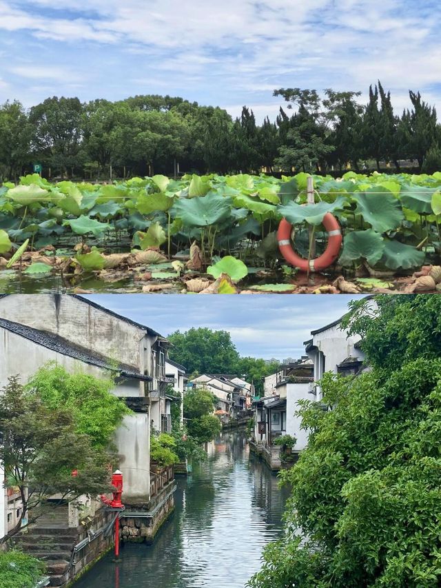 被低估嘅歷史寶藏小城，住喺紹興係咩體驗