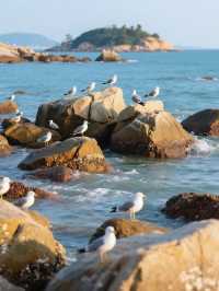 廈門海邊指南被海治癒到冒泡