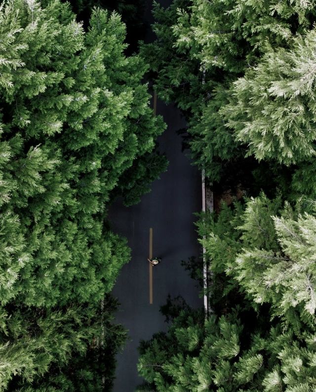 雲南人骨子裡的浪漫| 愛心步道