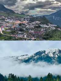 林芝已返，我的建議係…