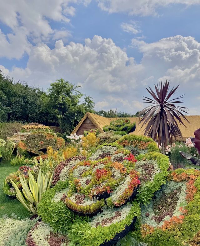 昆明呢度仲係盛花期🪻寶藏花園