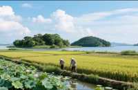 你未到過吧——玩轉落排洲