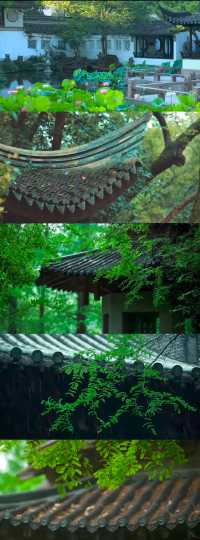 雨日姑蘇，園寂如詩