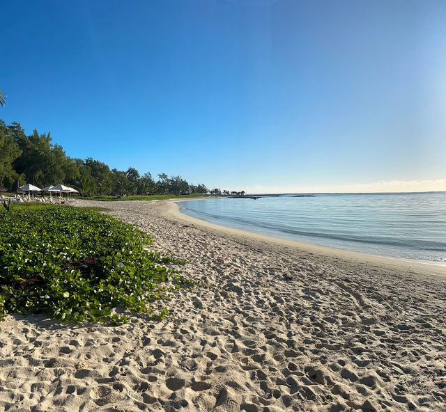 Exceptional Hospitality at Sunrise Attitude