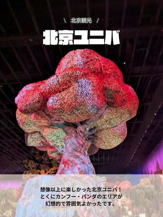 🇨🇳北京ユニバまとめ