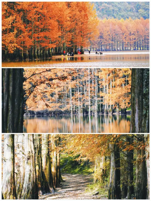 3-Day Autumn Foliage Adventure at Longchi Lake in Hanzhong!