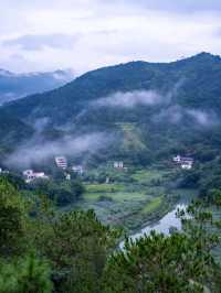 就在廣東信宜住進森林樹屋，天然氧吧！