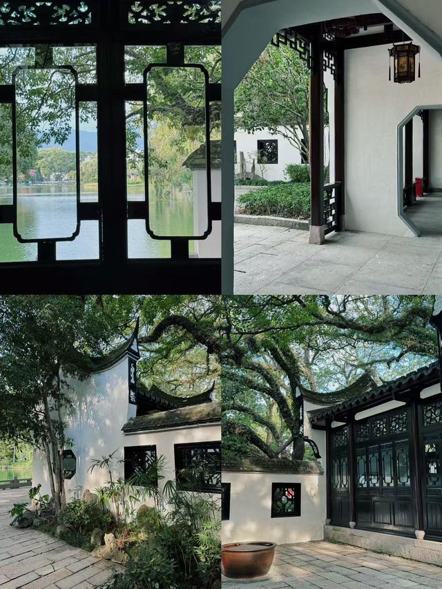 福州西湖公園桂齋，滿園關不住的光影畫 🍃
