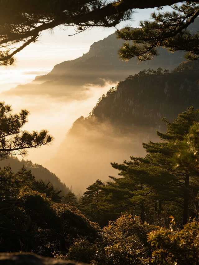 十月廬山行 | 在雲海之巔，邂逅最詩意的秋天