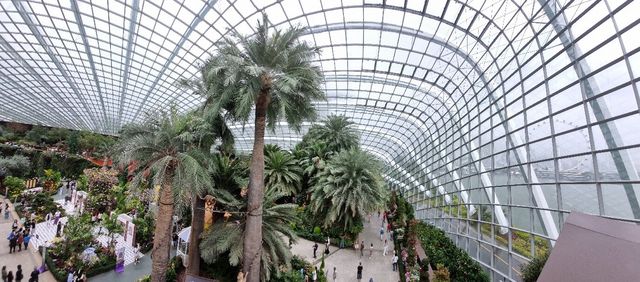 Spectacular Floral Display at the Flower Dome Spectacular Floral Display at the Flower Dome