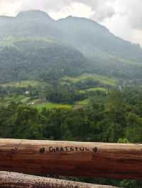 Journey in Sri Lanka: A Remarkable Experience
