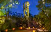 沙漠植物園奇幻的「燈籠之夜」