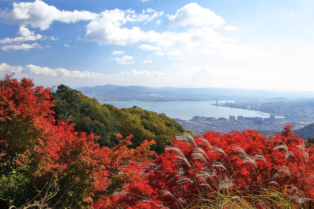 滋賀琵琶湖紅葉預測更新