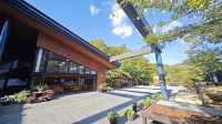 箱根濕生花園 —— 低調、但不可錯過的地方