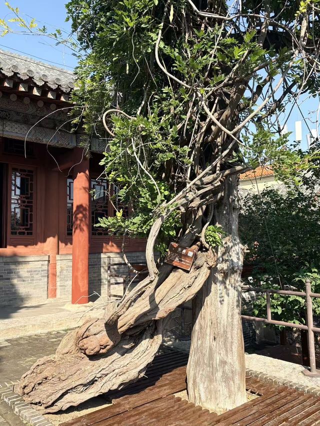 千年皇家廟宇美哭你岱廟