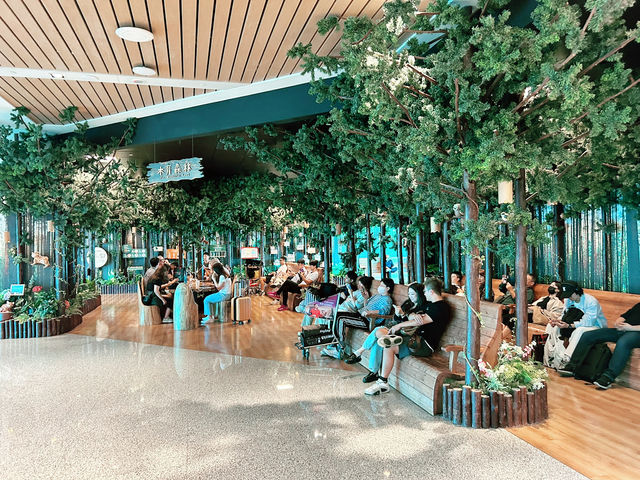 ✈️ 桃園機場全新升級：旅程從登機前就開始享受