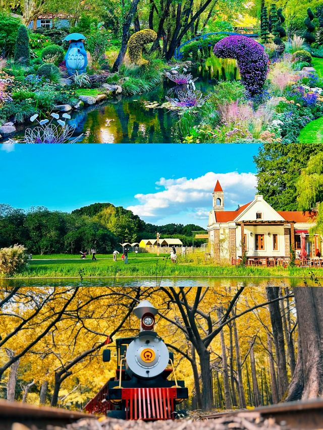 今共青森林公園爆火預警！至少5W人（附攻略）