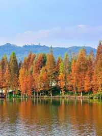 涪陵秋日世界級美景!武陵山大裂谷+《遇見816》沉浸式體驗,