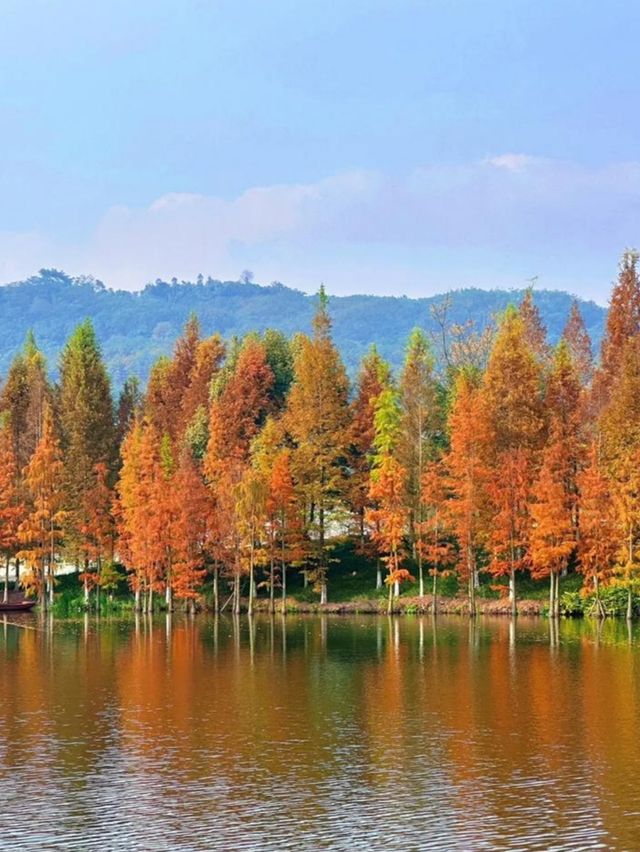 涪陵秋日世界級美景!武陵山大裂谷+《遇見816》沉浸式體驗, 涪陵秋日世界級美景!武陵山大裂谷+《遇見816》沉浸式體驗,