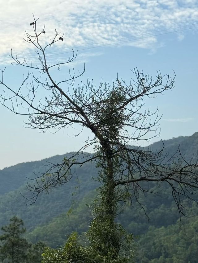 挑戰中山「小九寨」!五桂山石寨水庫暴走全攻略,每一步都是風景 挑戰中山「小九寨」!五桂山石寨水庫暴走全攻略,每一步都是風景