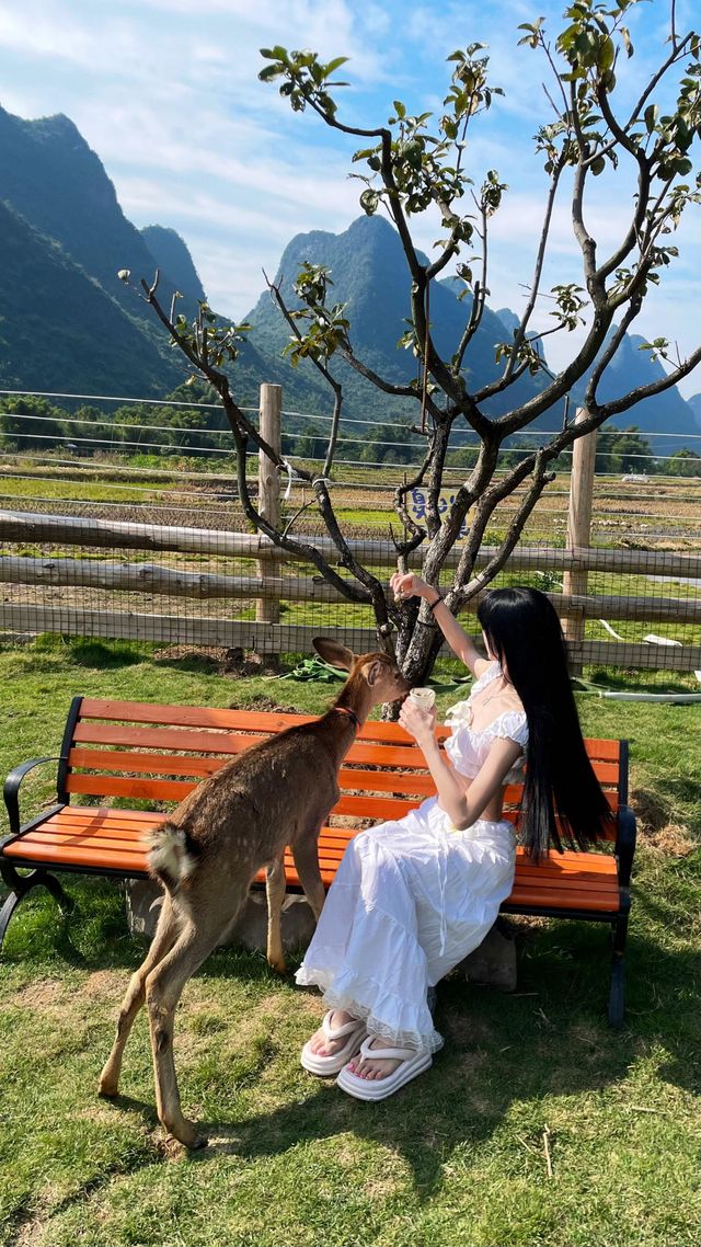 原來「小鹿亂撞」是這種感覺 原來「小鹿亂撞」是這種感覺