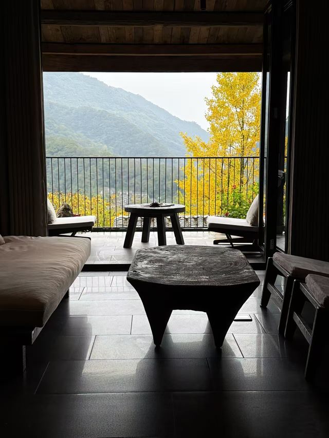 成都周邊新開 山林間的遛娃泡湯寶地！