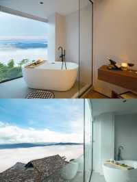 多少人是為了這面雲端之窗奔赴景邁山