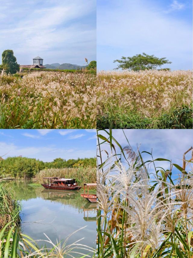 11月的下渚湖，是秋天最治癒的打開方式！