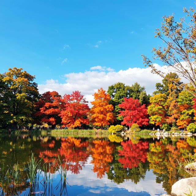 雲平山秋日仙境