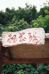 不是新疆!是湖北恩施被嚴重低估的高山草原!