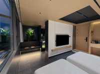 11月7日南雄帽子峰銀杏葉實拍