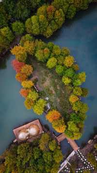 雲端之上的秋日童話秘境