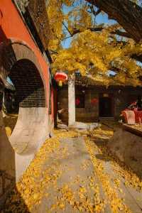 帶娃去濟南等地這份攻略必收好