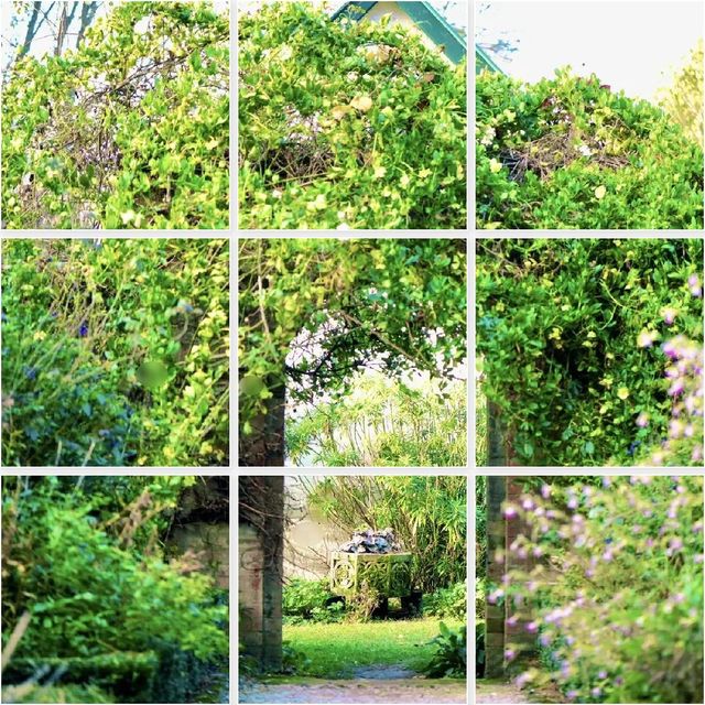 悉尼近郊絕美秘境封神了！