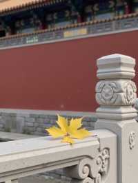 甘肅絕美秘境發現隴版小九寨,人少景靚唔使驚!