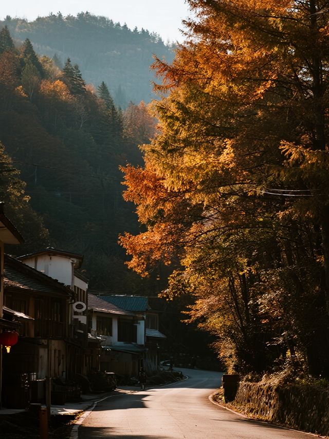 帶娃衝光霧山紅葉+遛娃兩不誤！