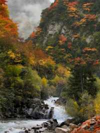 中國最美鄉村 | 甲居藏寨