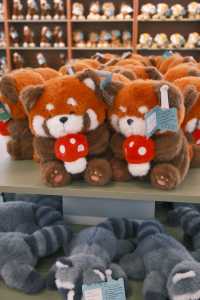 宿遷森迪自駕封神!開著車闖進動物狂歡局