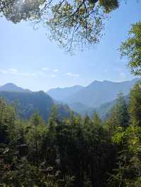 市區1h+達 深秋杭州這個古村落美到失語