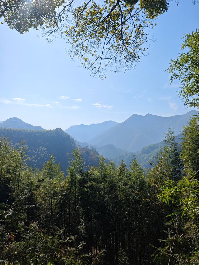 市區1h+達 深秋杭州這個古村落美到失語