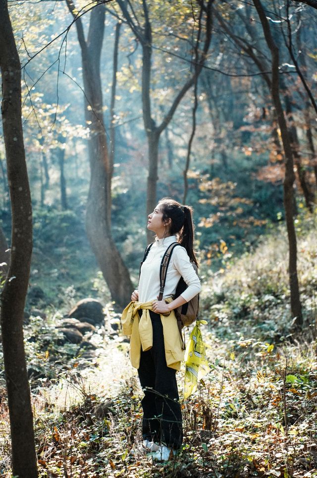南京止馬嶺 秋季徒步出片指南
