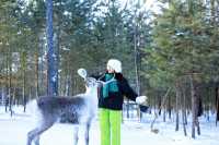 漠河三天兩晚極致尋北攻略：赴一場冰雪與星空的約會