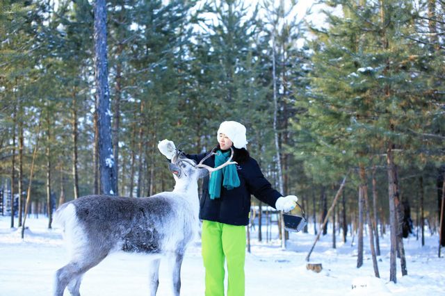 漠河三天兩晚極致尋北攻略：赴一場冰雪與星空的約會